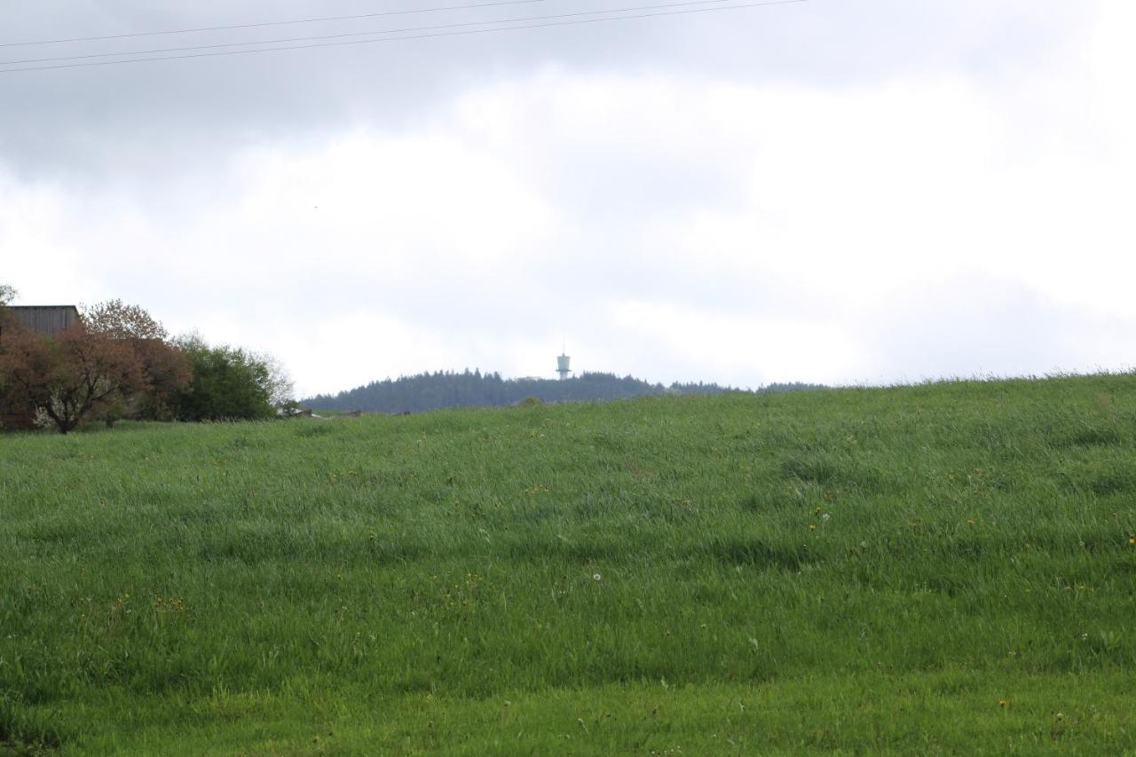 Gaestehaus Sporrer Neualbenreuth Exteriér fotografie